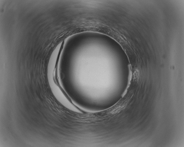 X0000086281156200703291454
