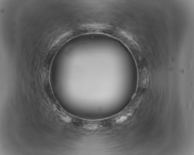 X0000086281157200703291454