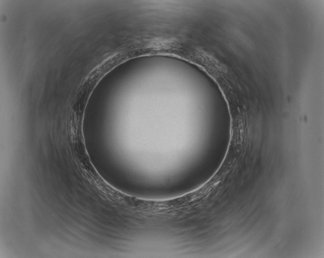 X0000086281158200703291454