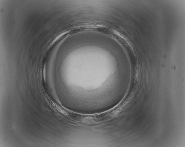 X0000086281161200703291454