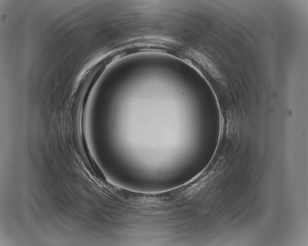 X0000086281164200703291454