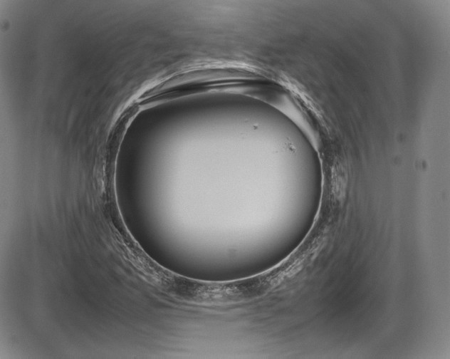 X0000086281165200703291454
