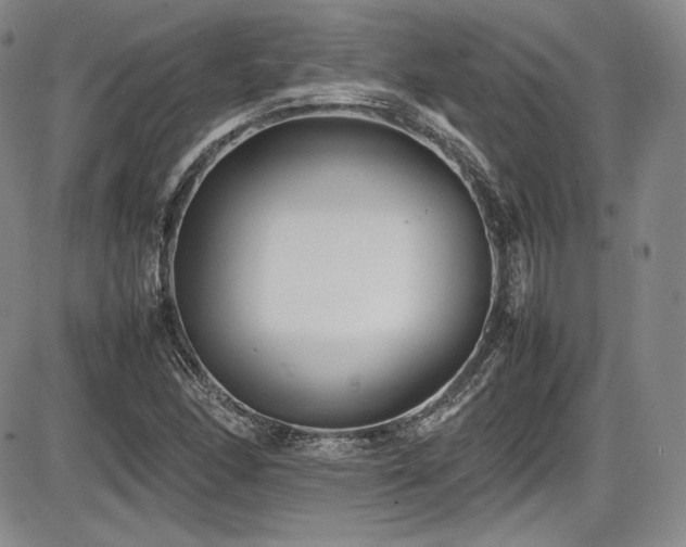 X0000086281166200703291454