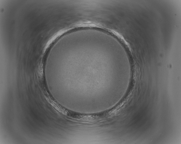 X0000086281167200703291454