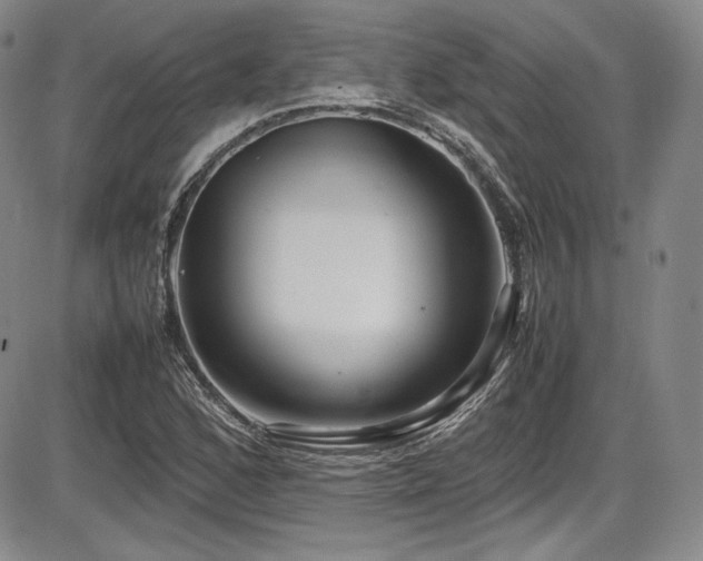 X0000086281168200703291454