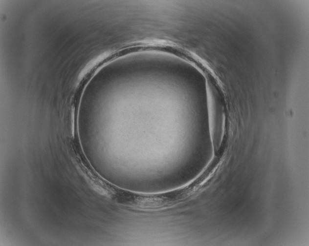 X0000086281171200703291453