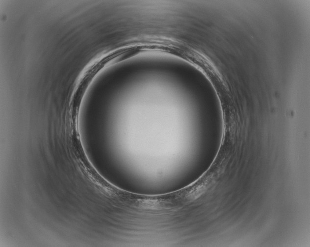 X0000086281172200703291453