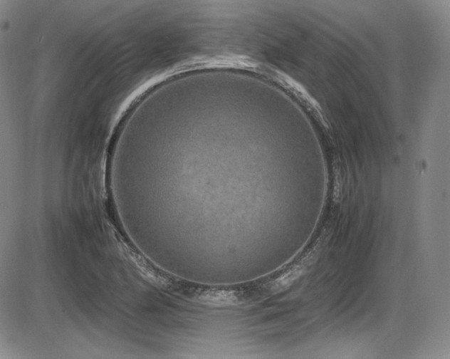 X0000086281174200703291453