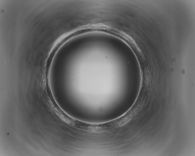 X0000086281176200703291453