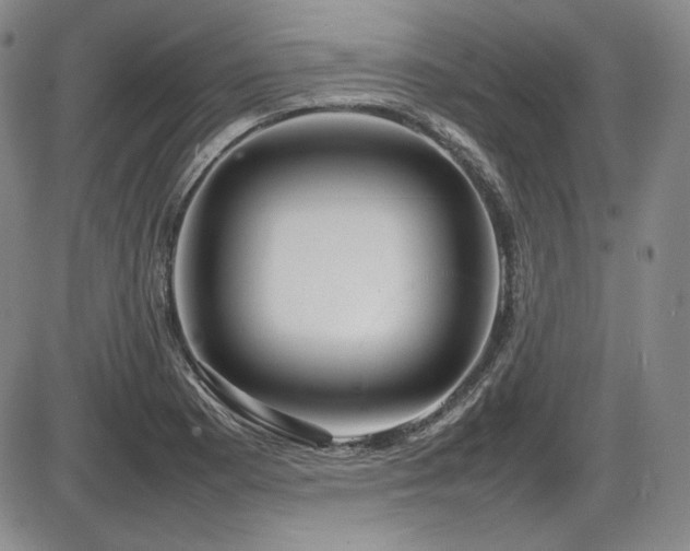 X0000086281177200703291453