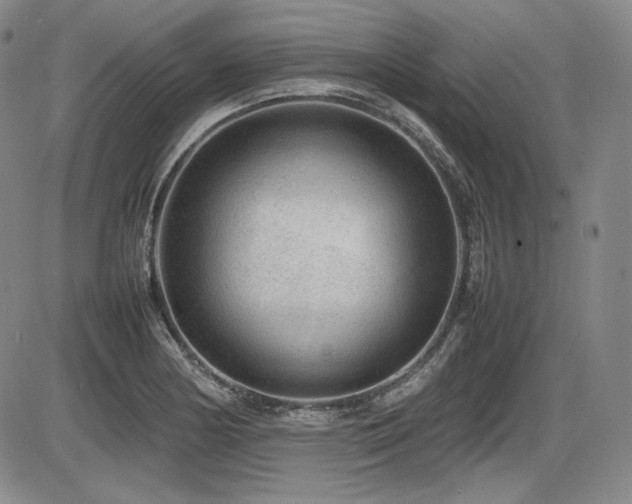 X0000086281178200703291453