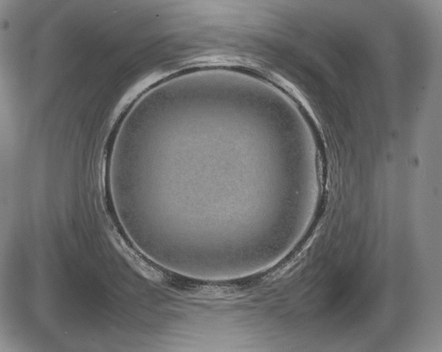X0000086281179200703291453