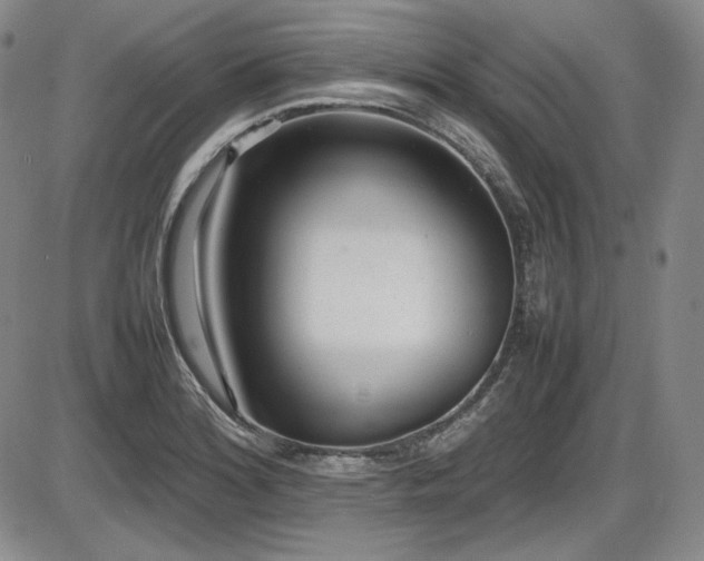 X0000086281180200703291453