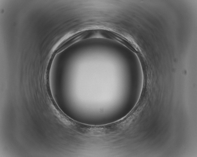 X0000086281181200703291453