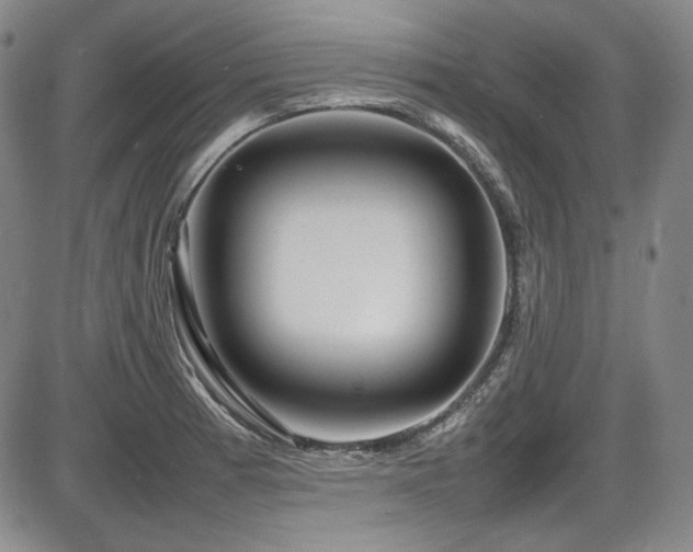 X0000086281185200703291453