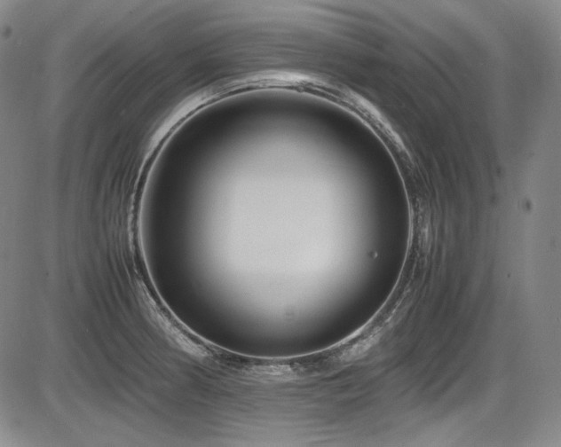 X0000086281186200703291453