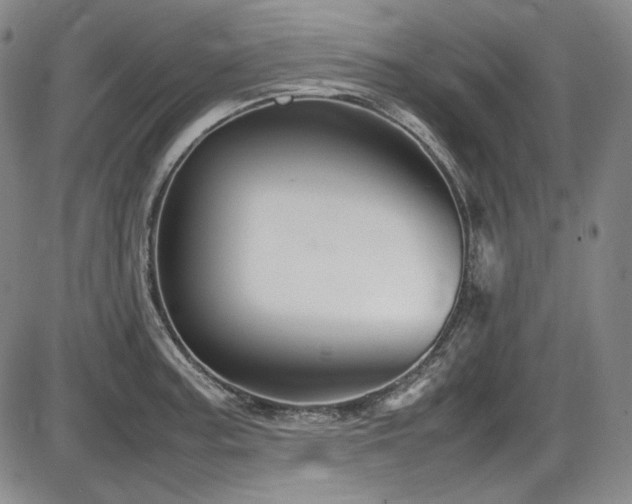 X0000086281187200703291453