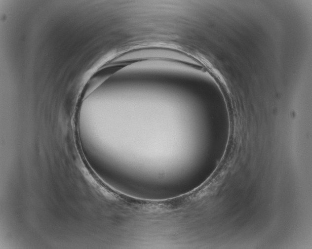 X0000086281189200703291453