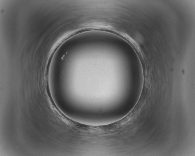 X0000086281191200703291453