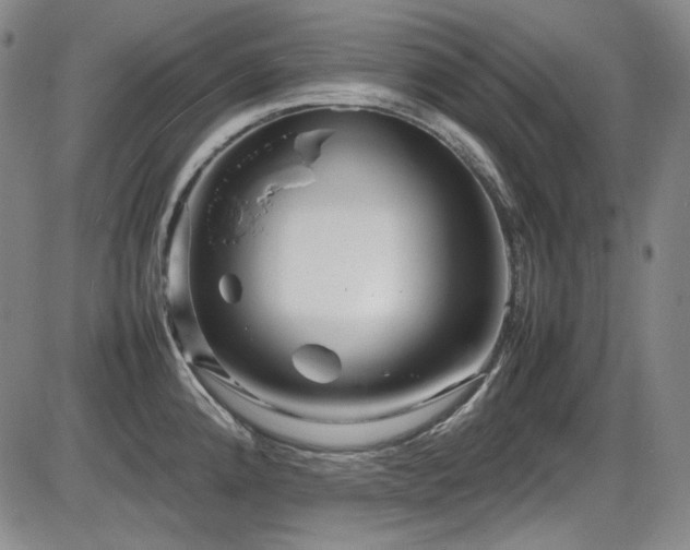 X0000086281192200703291453