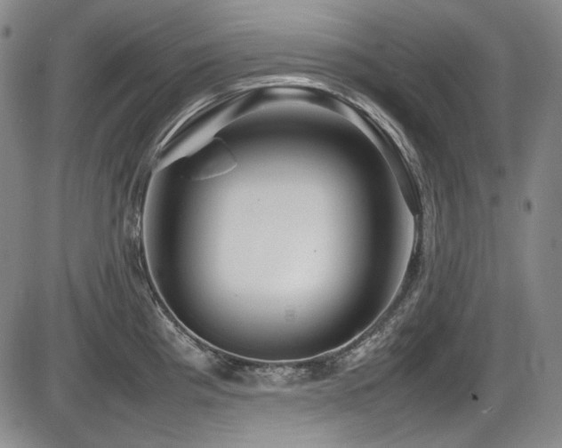 X0000086281193200703291453
