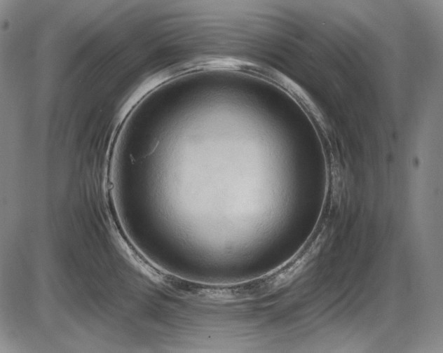 X0000086281194200703291453