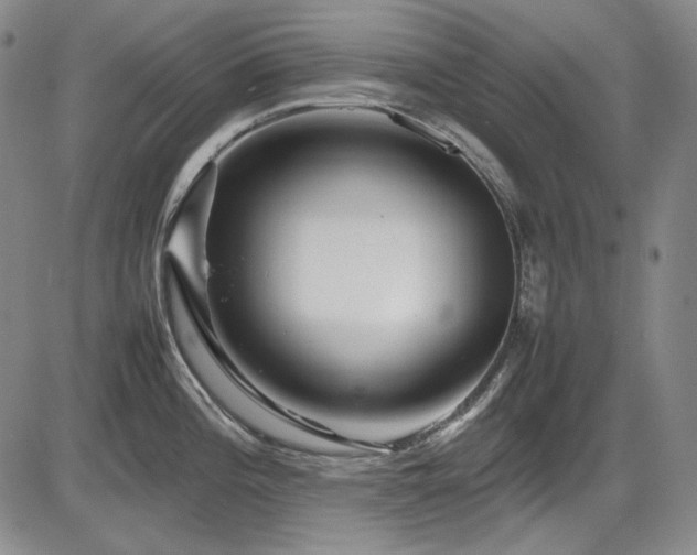 X0000086281196200703291453
