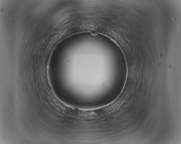 X0000086281201200703291452