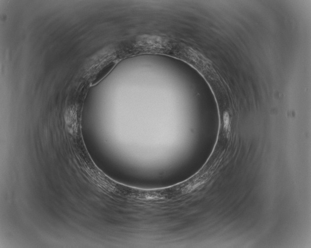 X0000086281203200703291452