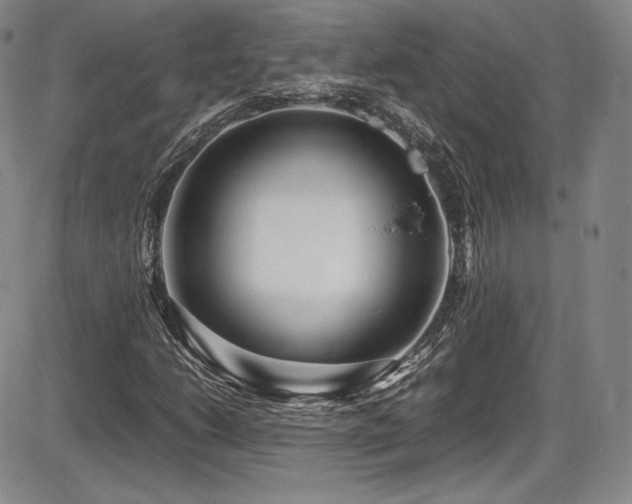 X0000086281206200703291452