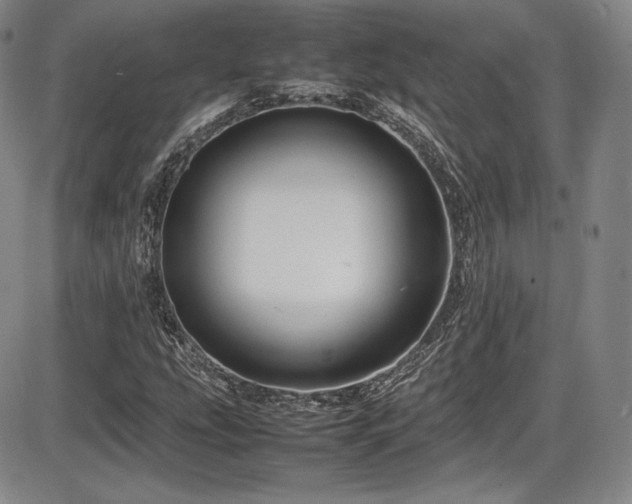 X0000086281207200703291452