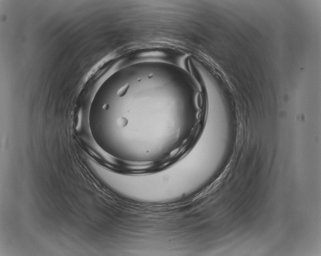 X0000086281210200703291452