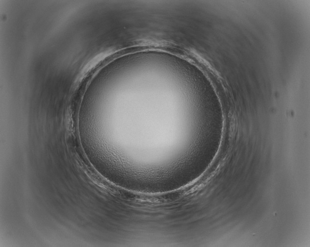 X0000086281215200703291452