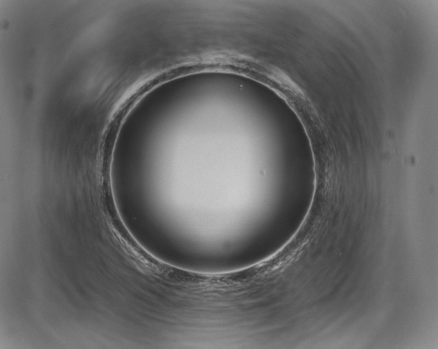 X0000086281216200703291452
