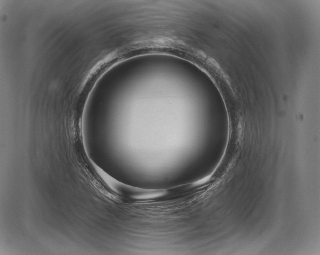 X0000086281218200703291452