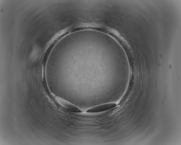 X0000086281221200703291453