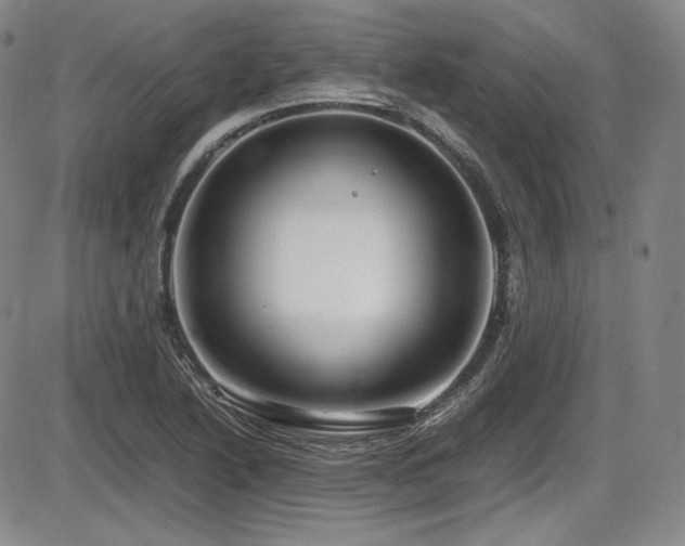 X0000086281222200703291453