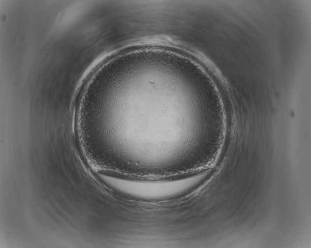 X0000086281224200703291453