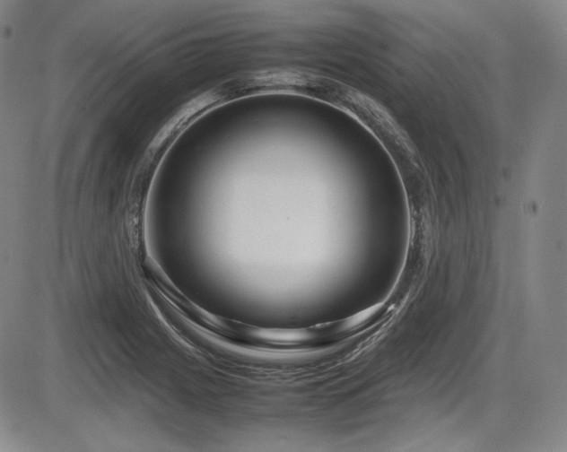 X0000086281225200703291453