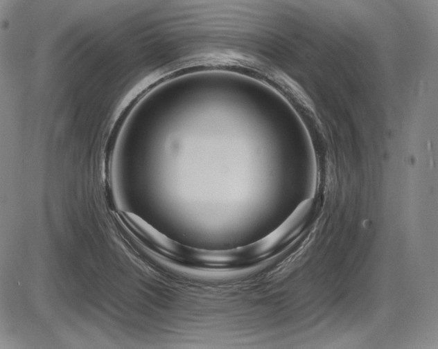 X0000086281226200703291453