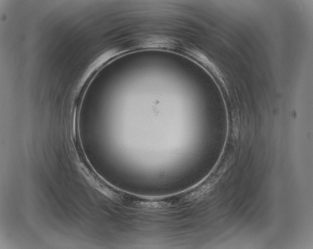 X0000086281227200703291453