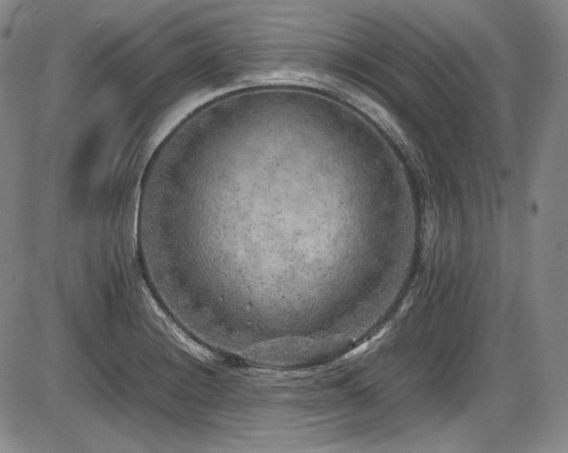 X0000086281228200703291453