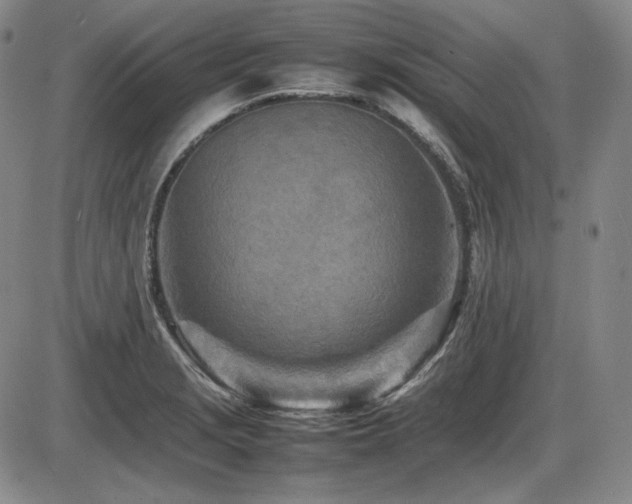 X0000086281229200703291453