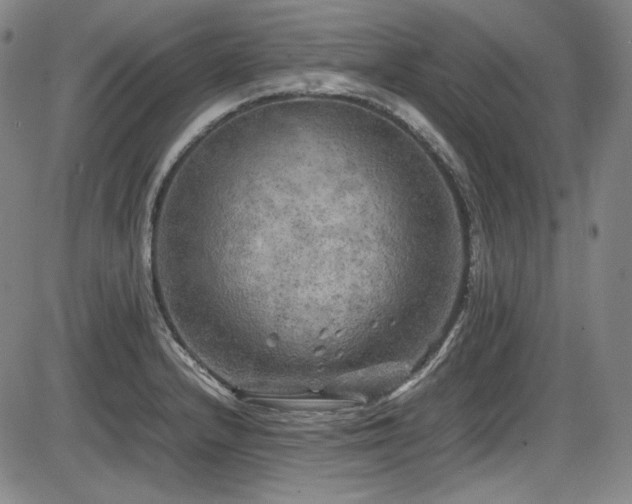 X0000086281232200703291453
