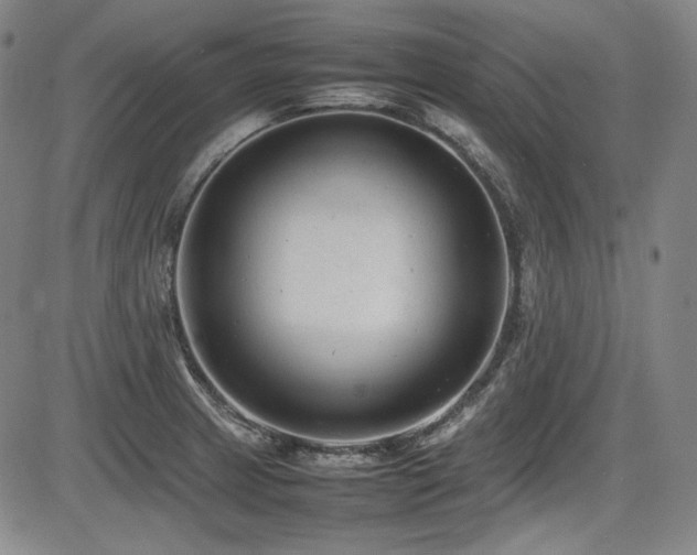 X0000086281233200703291453