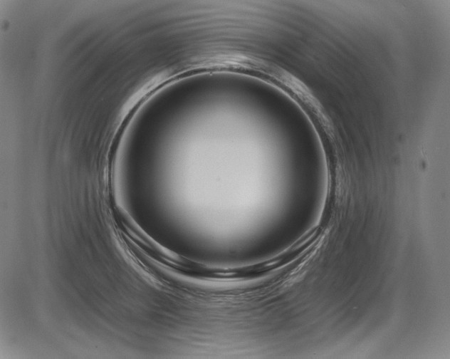 X0000086281234200703291453
