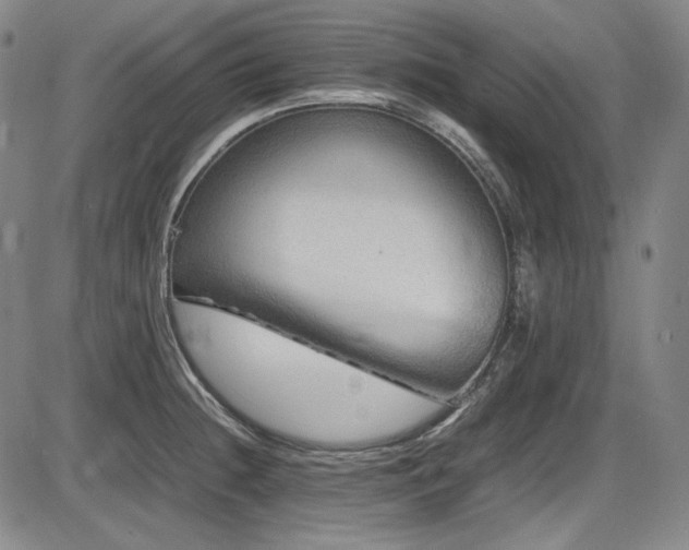 X0000086281236200703291453
