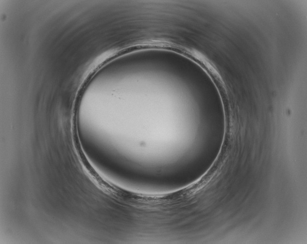 X0000086281237200703291453