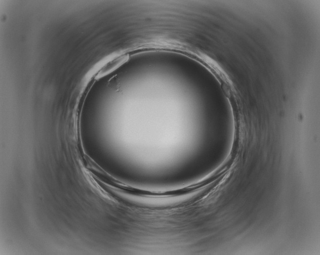 X0000086281238200703291453