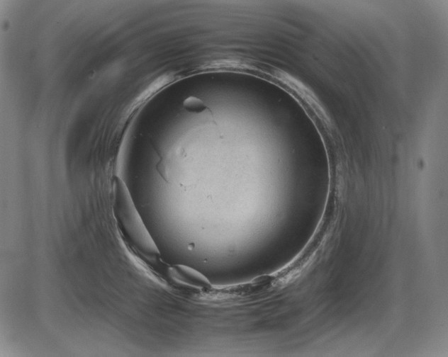 X0000086281241200703291453